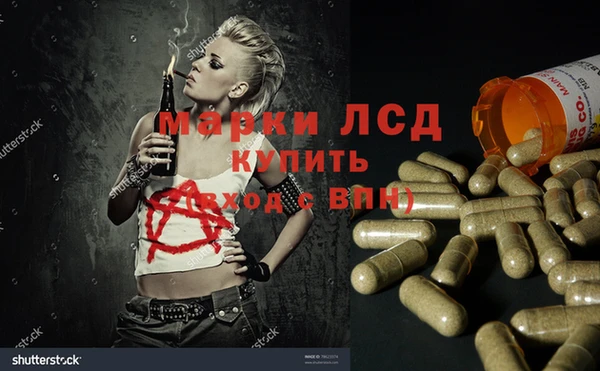 дмт Аркадак