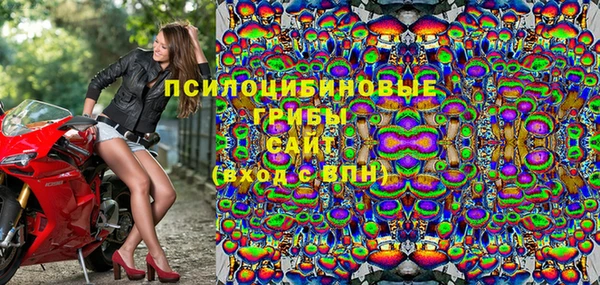 дмт Аркадак
