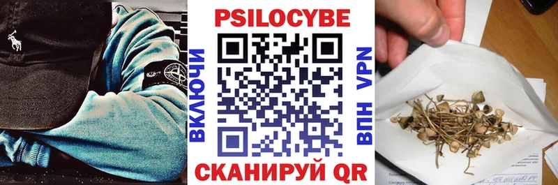 даркнет наркотические препараты  купить закладку  Суоярви  Псилоцибиновые грибы мухоморы 
